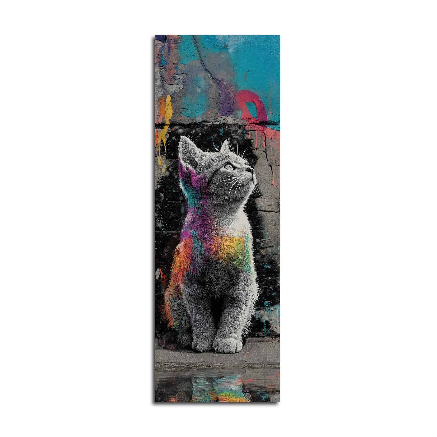Street Cat Rainbow | EPECHA02