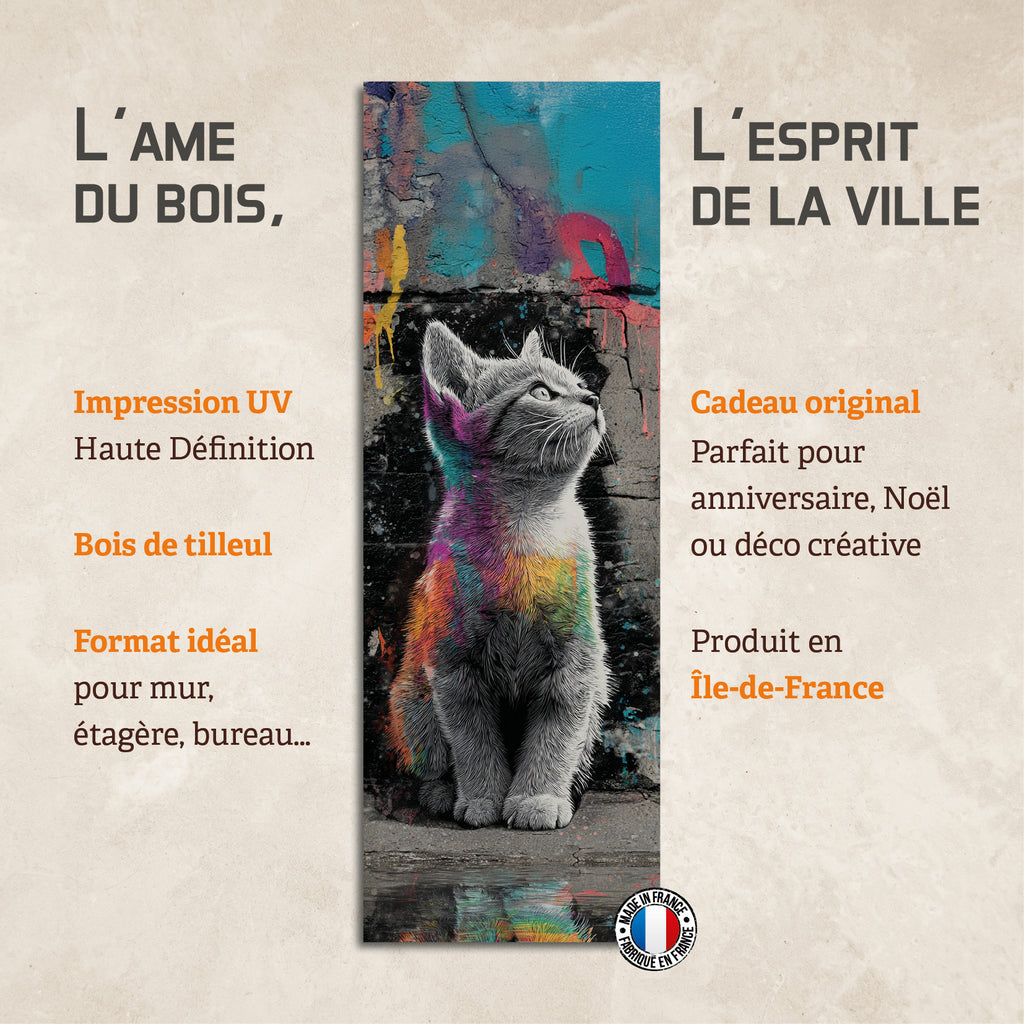 Street Cat Rainbow | EPECHA02