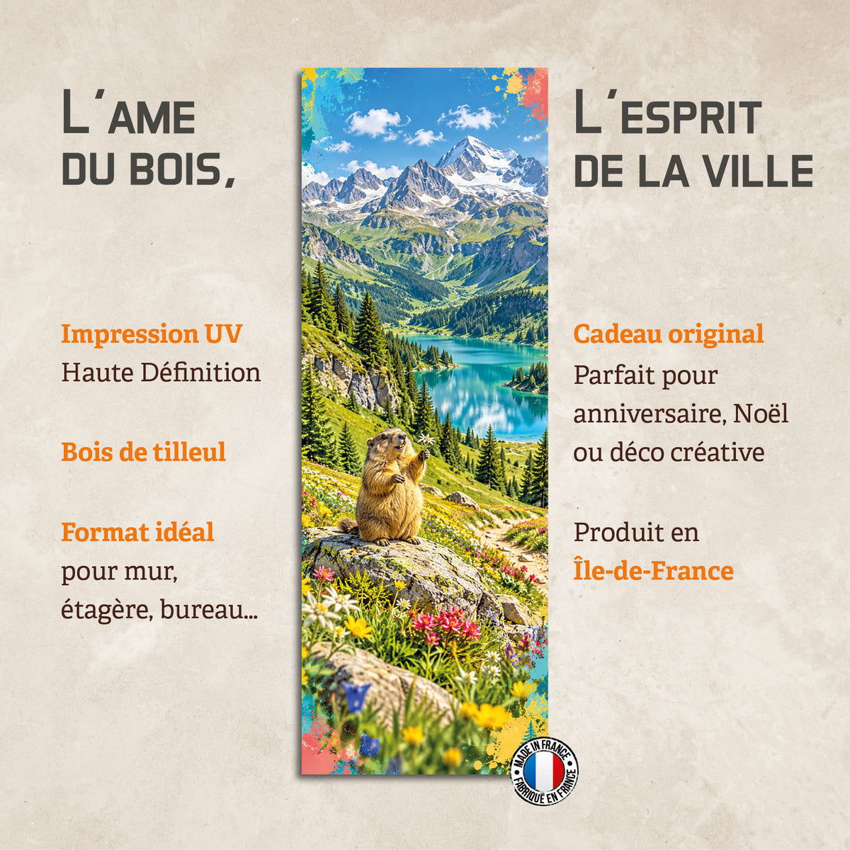 La Marmotte des Sommets | EPEMTG04