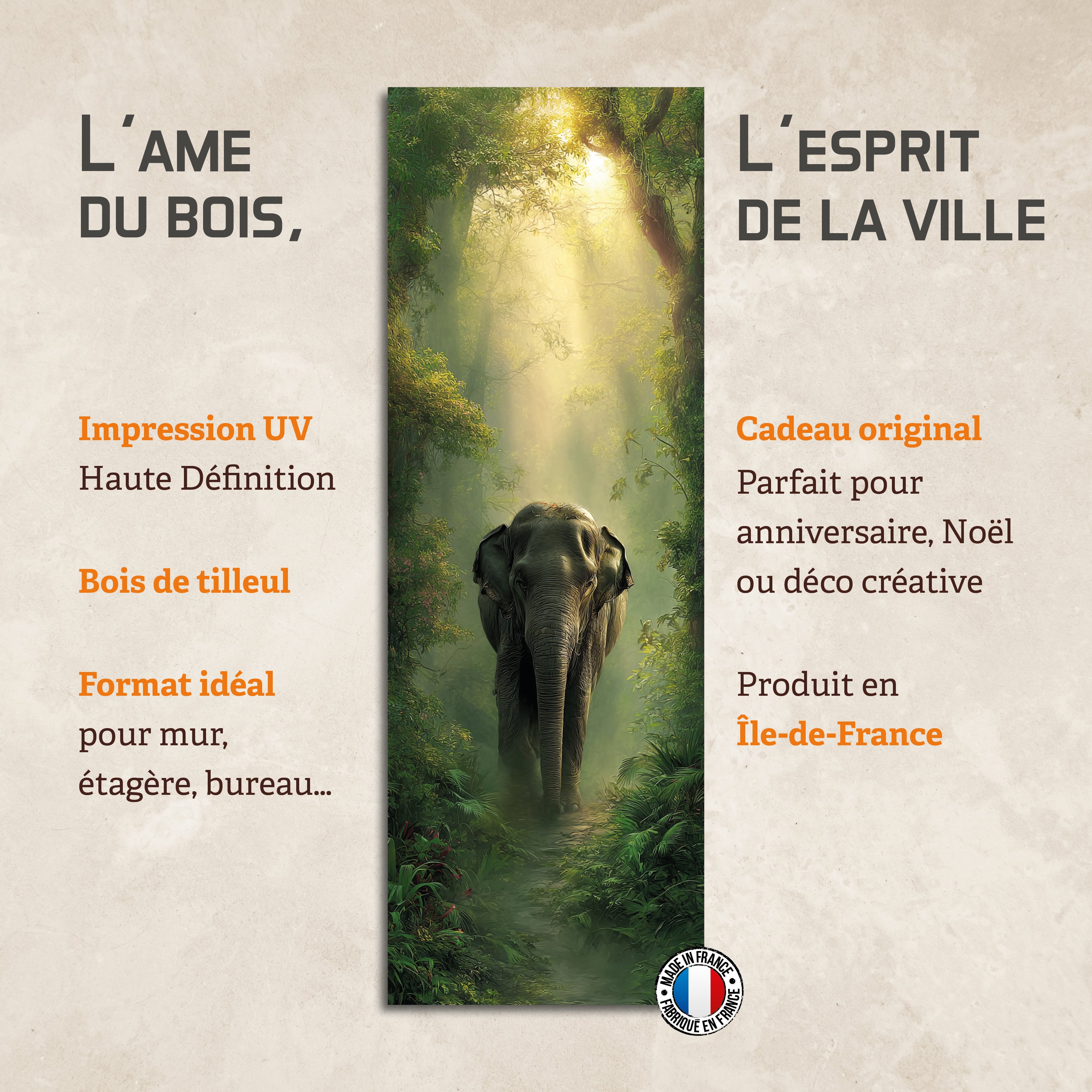 Éléphant dans la jungle | EPETH01